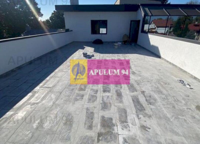 Vila | Zona Bucurestii Noi | Damaroaia